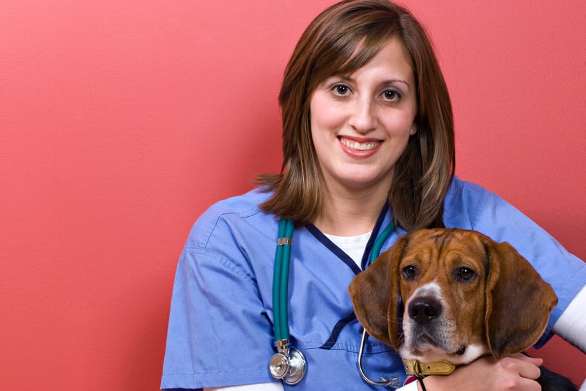 Veterinarian With a Beagle