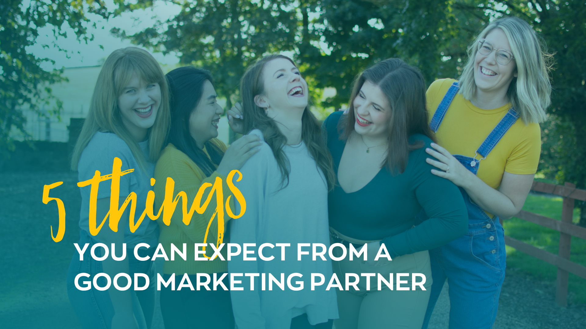 5 things you can expect from a good marketing partner